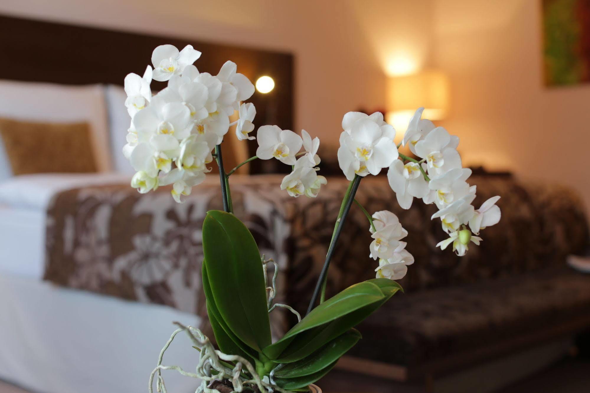 Zochova - Adult Friendly Hotel 4*